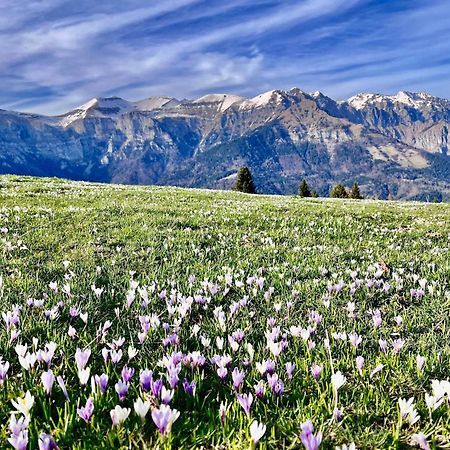 Вілла Casa Delle Arti Fattoria Dei Fiori Sospirolo Екстер'єр фото