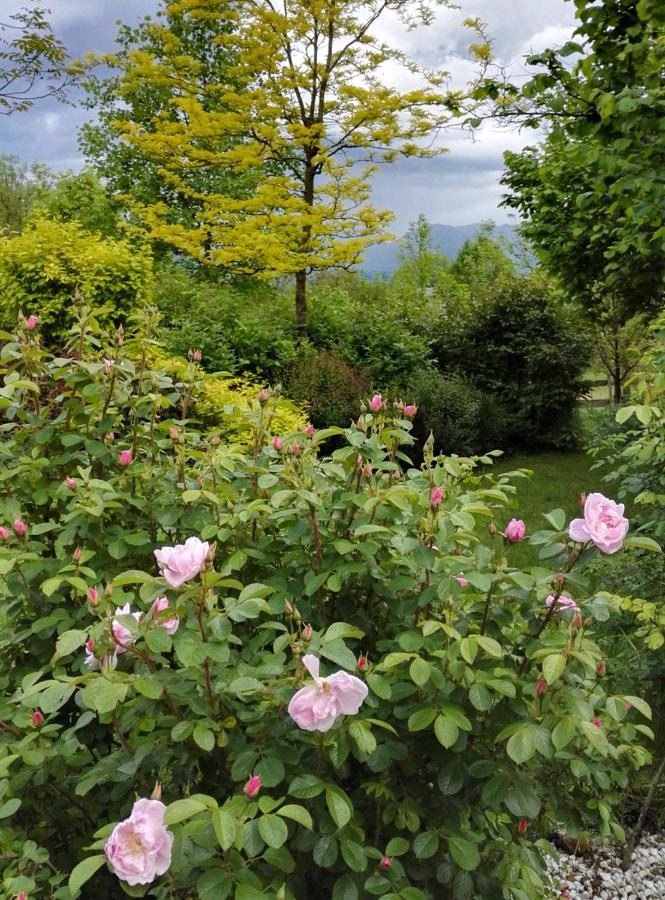 Вілла Casa Delle Arti Fattoria Dei Fiori Sospirolo Екстер'єр фото