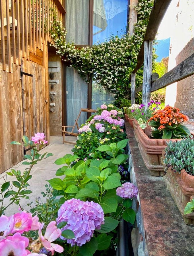 Вілла Casa Delle Arti Fattoria Dei Fiori Sospirolo Екстер'єр фото