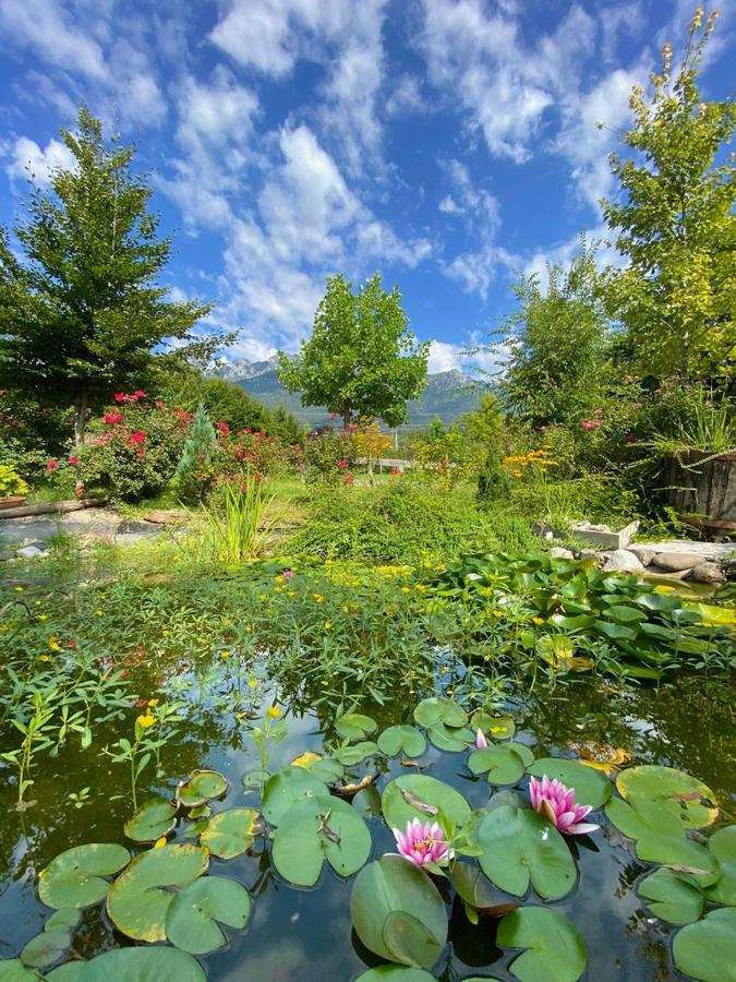 Вілла Casa Delle Arti Fattoria Dei Fiori Sospirolo Екстер'єр фото