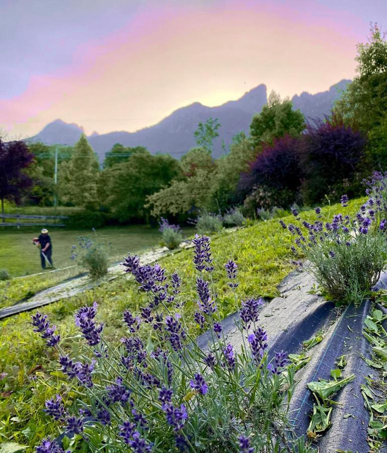 Вілла Casa Delle Arti Fattoria Dei Fiori Sospirolo Екстер'єр фото