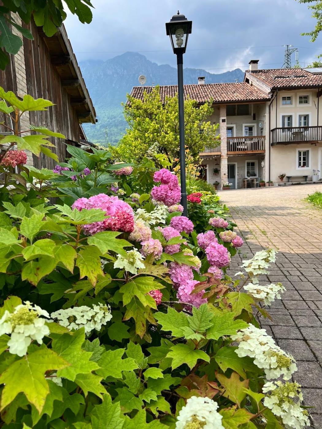 Вілла Casa Delle Arti Fattoria Dei Fiori Sospirolo Екстер'єр фото